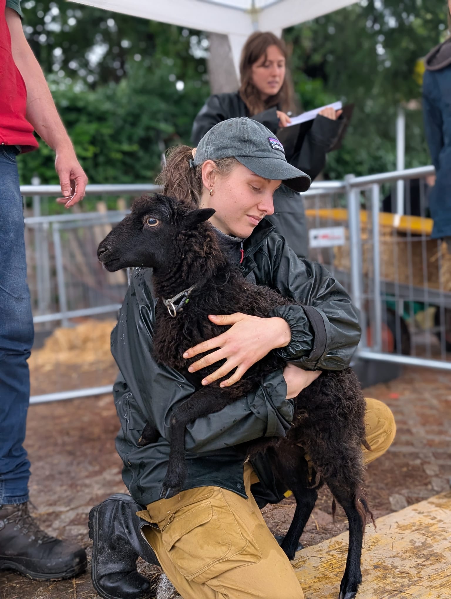 Zum Glück lassen sich die Schafe gut händeln