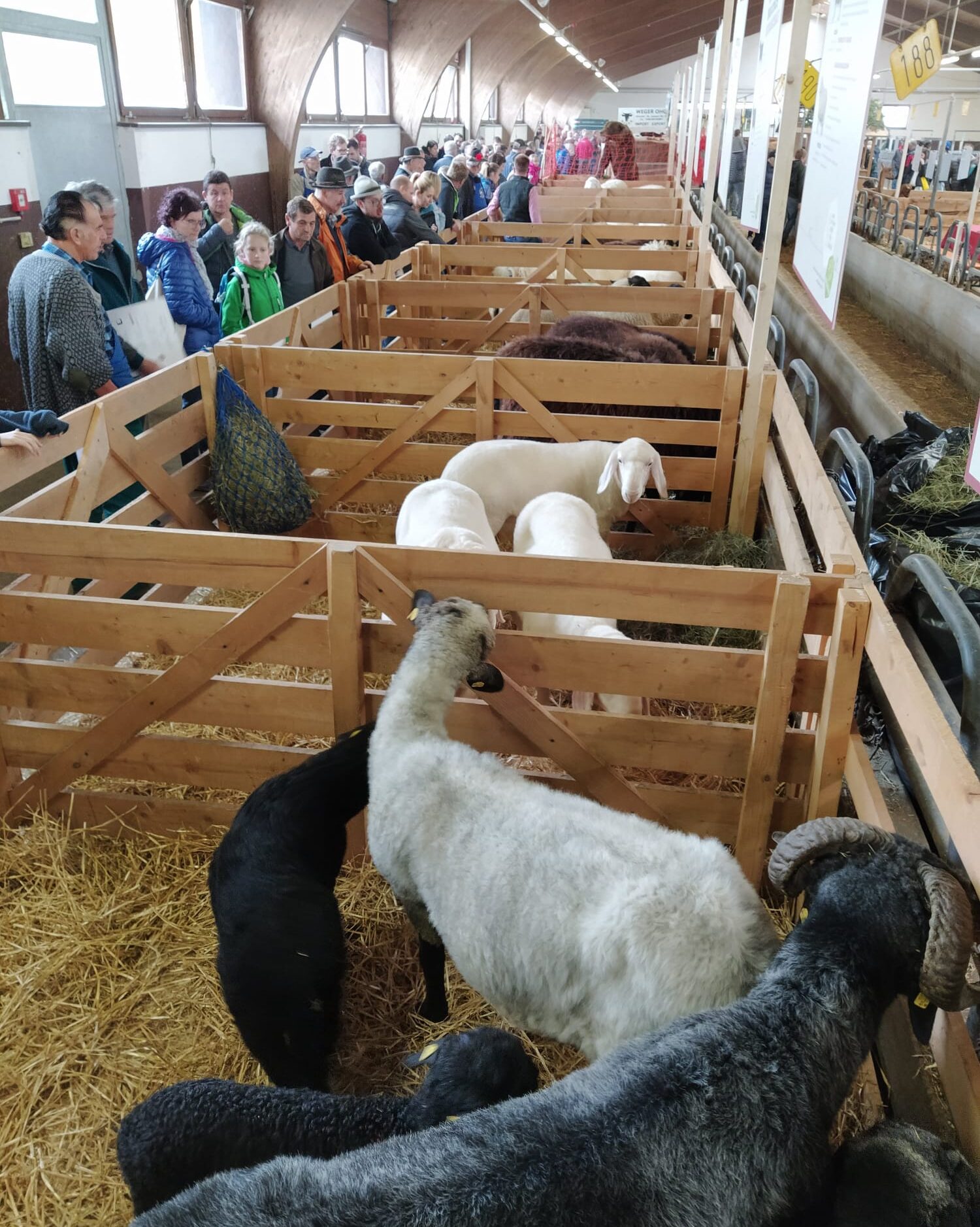 WhatsApp Image 2025-11-12 at 18.24.37