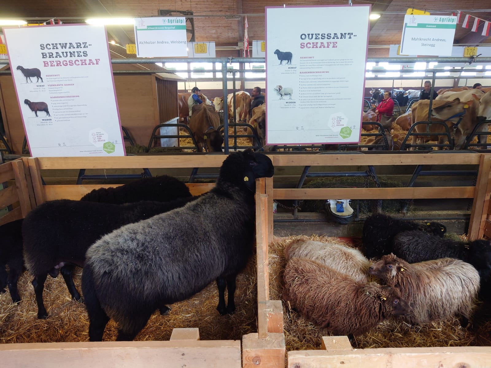 WhatsApp Image 2025-11-22 at 08.31.33