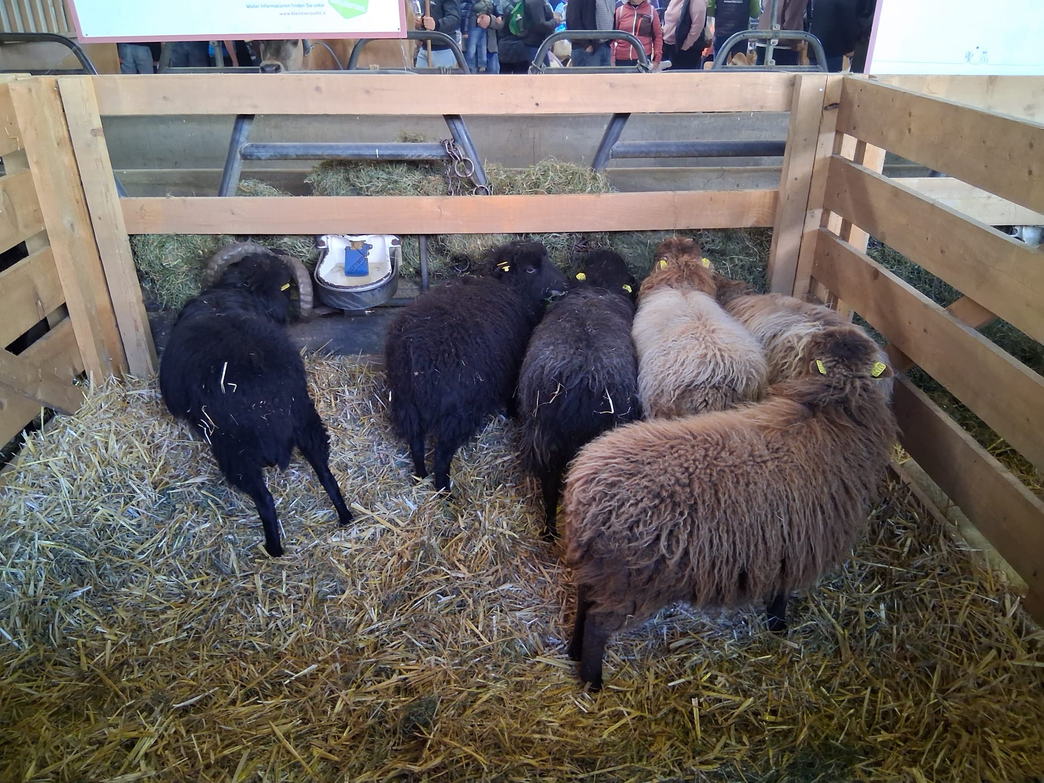 WhatsApp Image 2025-11-22 at 14.40.07