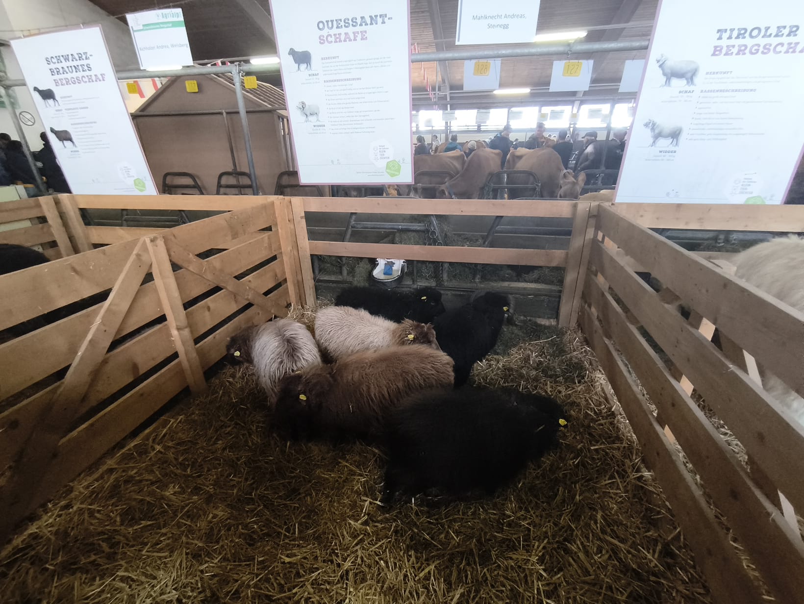 WhatsApp Image 2025-11-22 at 19.37.57