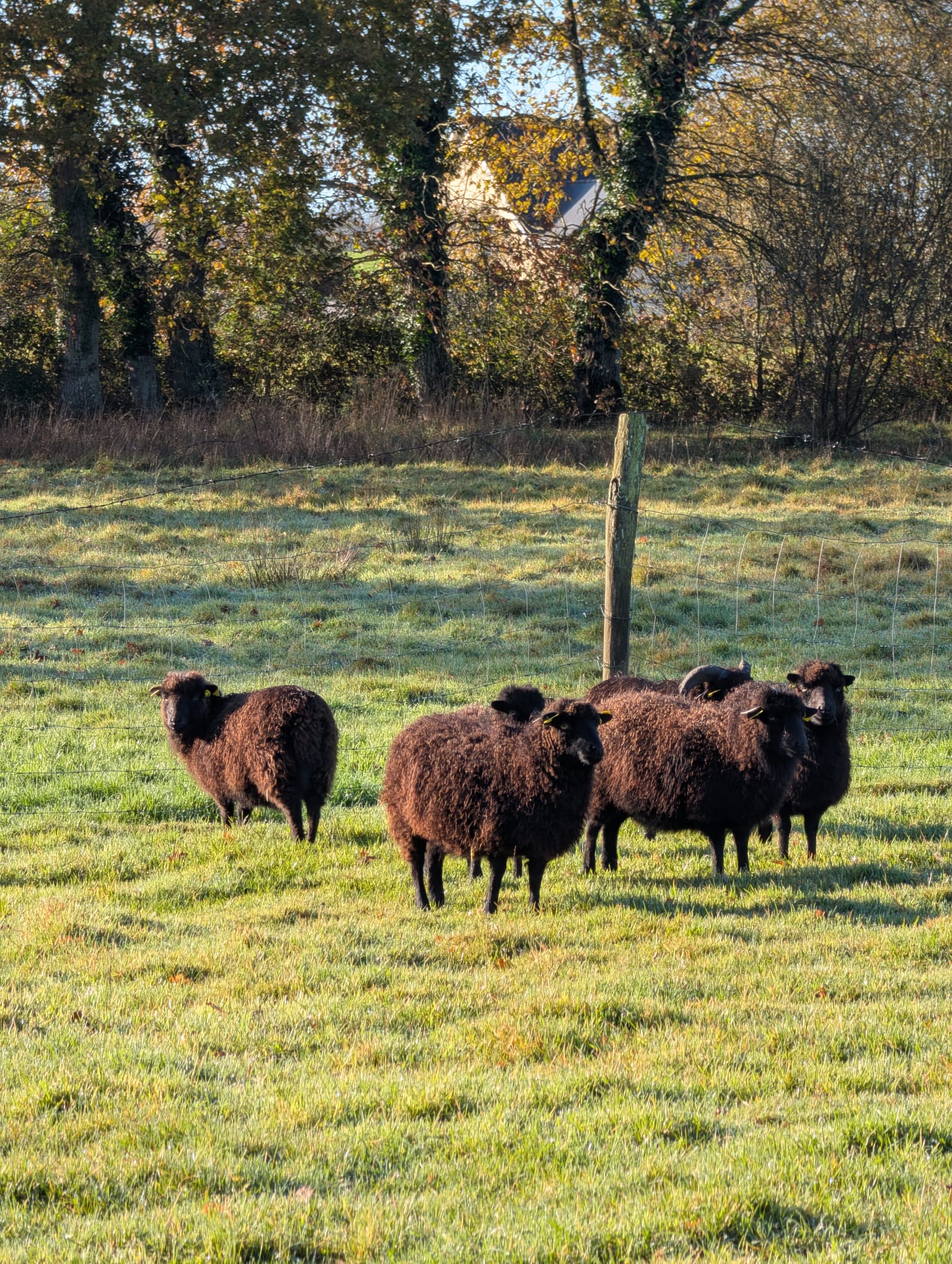 WhatsApp Image 2026-01-01 at 21.02.03