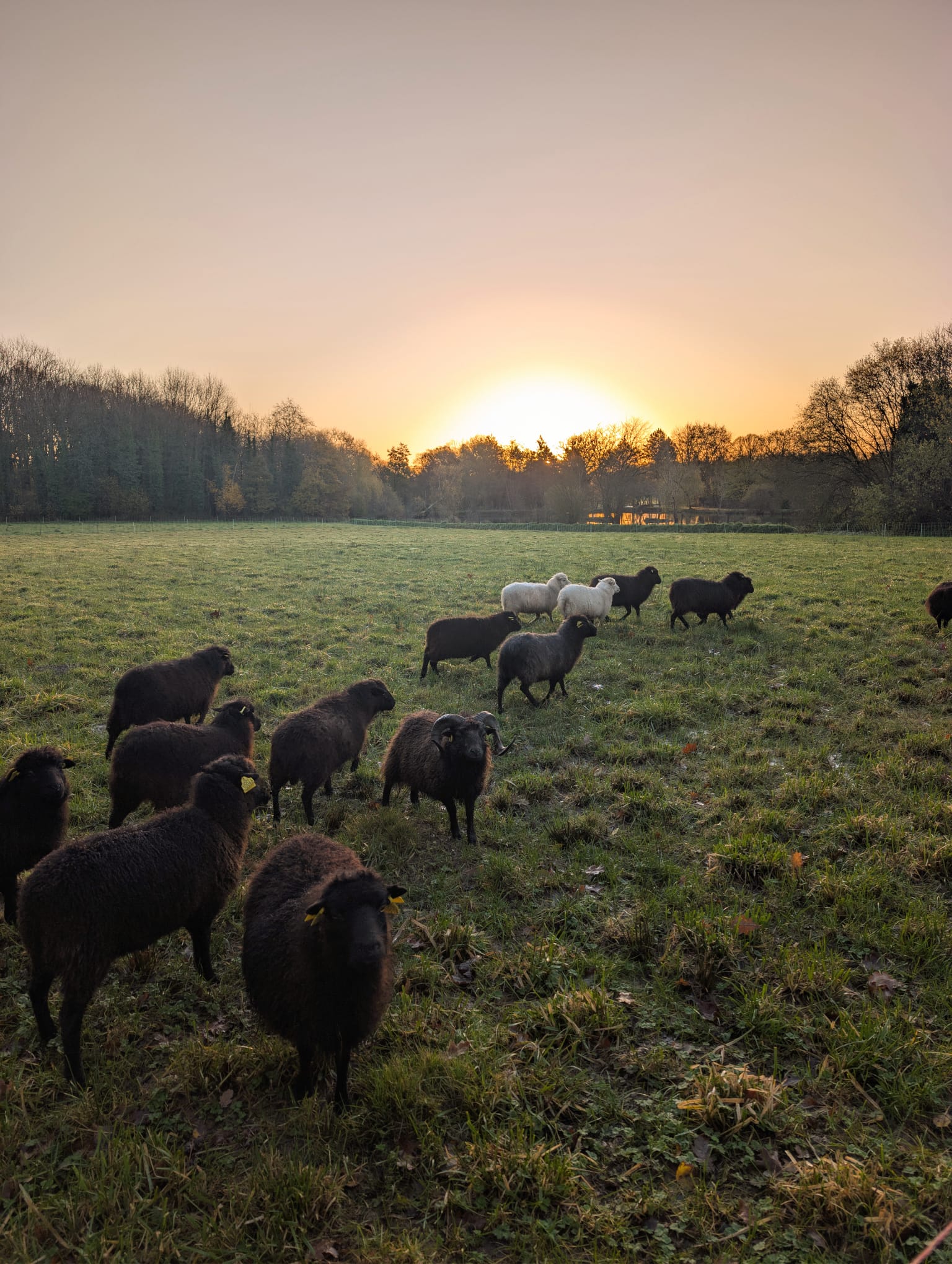 WhatsApp Image 2026-01-01 at 21.08.33