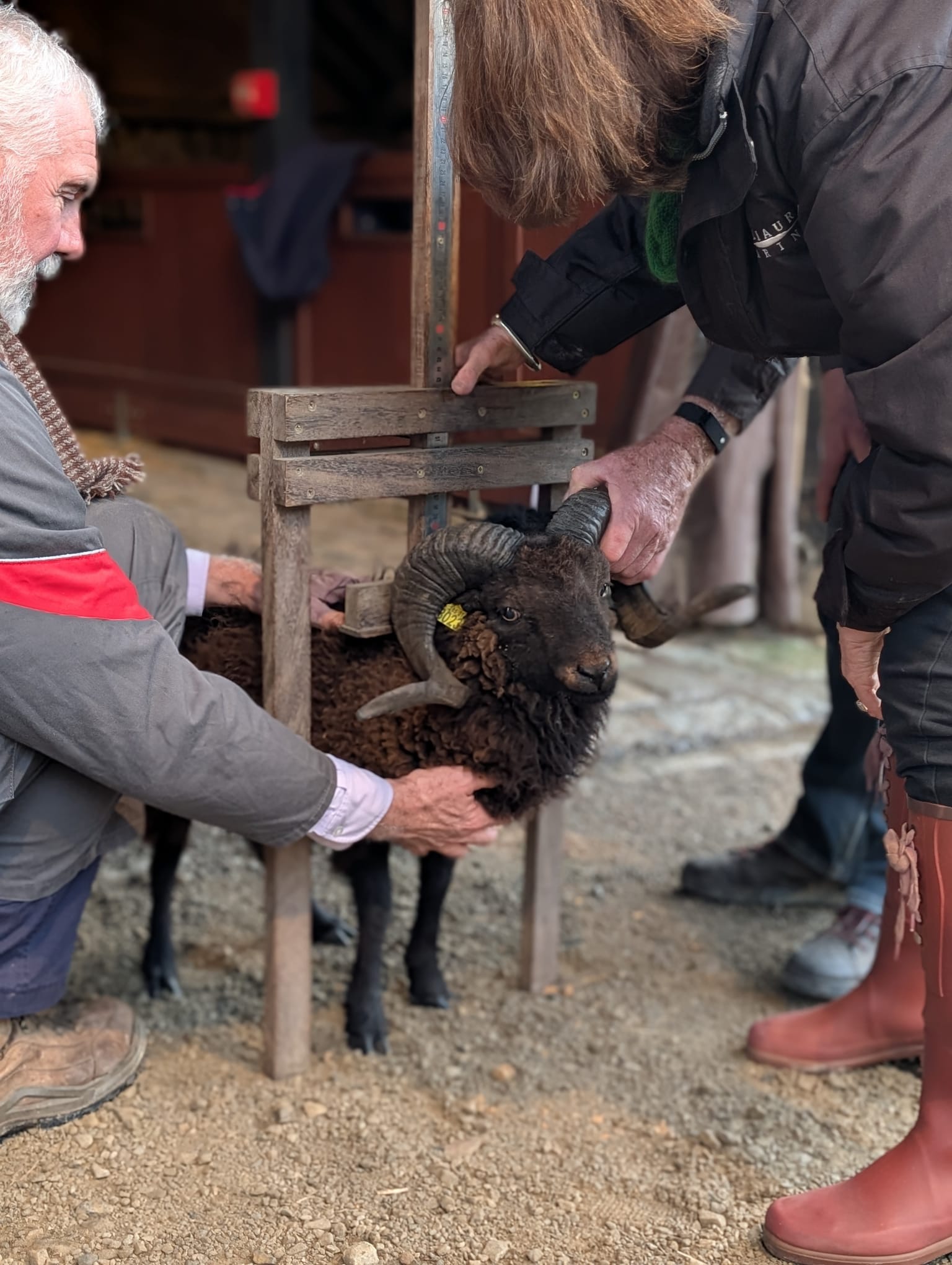 WhatsApp Image 2026-01-01 at 21.09.38