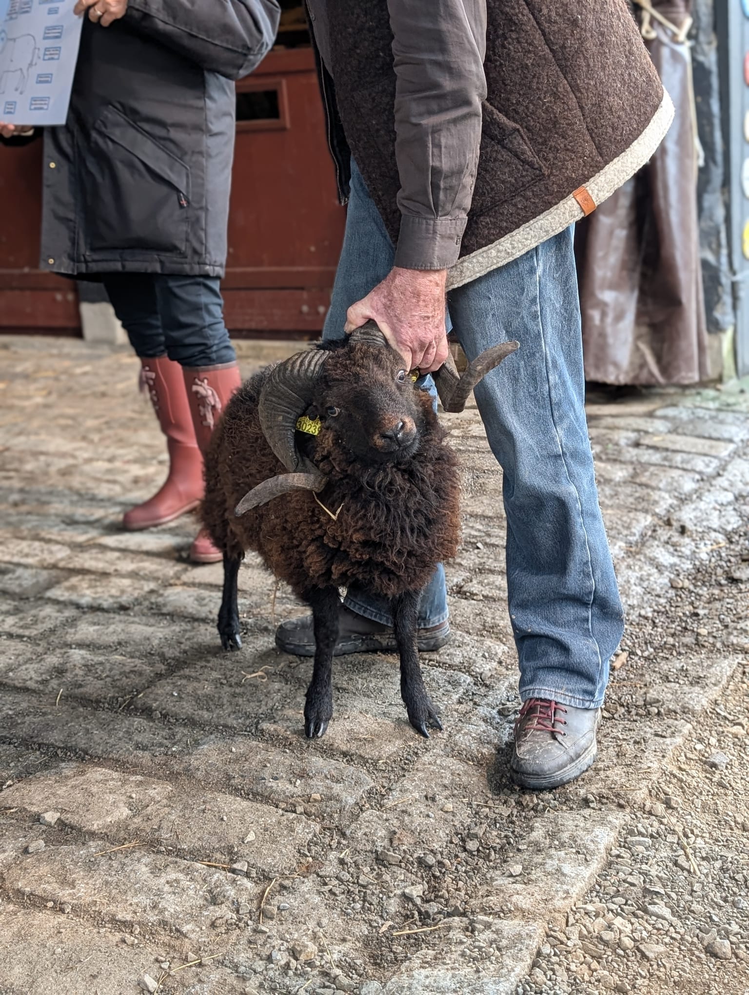 WhatsApp Image 2026-01-01 at 21.10.06